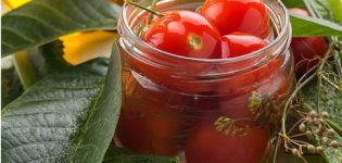 Recettes pour mariner les tomates à la cannelle pour l'hiver à la maison