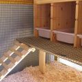 How to make roosts for chickens with your own hands, options and sizes