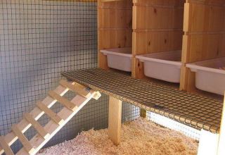 How to make roosts for chickens with your own hands, options and sizes