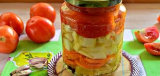 TOP 10 des recettes simples pour mariner les piments doux et chauds dans l'huile pour l'hiver, tranches et entières