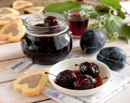 TOP 6 recipes for plum jam with seeds at home for the winter