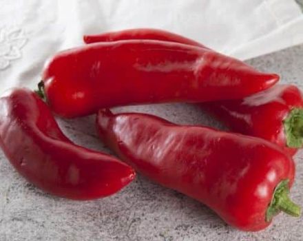 Descripción de la variedad de pimiento Ramiro, características de cultivo y cuidado.