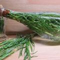 How to preserve and prepare tarragon for the winter at home, drying and freezing