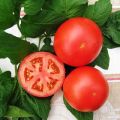 Characteristics and description of the Tolstoy tomato variety, its yield and cultivation