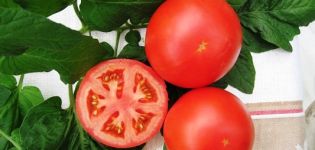 Characteristics and description of the Tolstoy tomato variety, its yield and cultivation