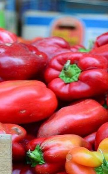 65 of the best and most popular peppers in 2020 with a description