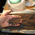 How to prepare the soil for tomato seedlings at home with your own hands