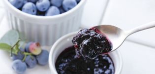 Ang isang simpleng recipe para sa paggawa ng blueberry jam para sa taglamig