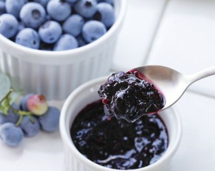 A simple recipe for making blueberry jam for the winter