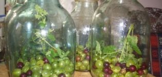 Simple and original recipes for making red and black currant compote with gooseberries for the winter