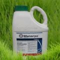 Instructions pour l'utilisation de l'herbicide Milagro, taux de consommation et analogues