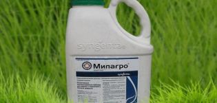 Instructions pour l'utilisation de l'herbicide Milagro, taux de consommation et analogues