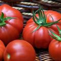 Ciri dan keterangan mengenai varieti tomato Puzata khata, hasilnya