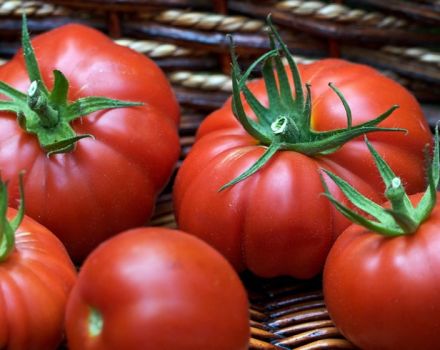 Caractéristiques et description de la variété de tomate Puzata khata, son rendement