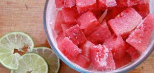 How to deliciously freeze a watermelon for the winter at home and is it possible