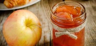 TOP 3 des recettes de confiture transparente avec des tranches de pomme à la cannelle