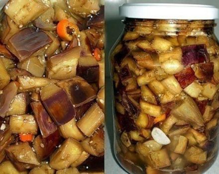 La receta para cocinar berenjenas como hongos para el invierno lame tus dedos paso a paso