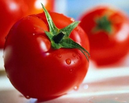 Characteristics and description of the La La Fa tomato variety, its yield