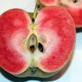 Descripción y características de las manzanas Pink Pearl, reglas de plantación y cuidado.