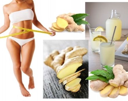 How to use ginger for weight loss at home