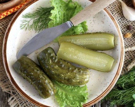 Comment sécher les concombres de cornichons, une recette étape par étape