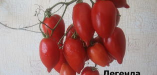 Characteristics and description of the tomato variety Legenda Tarasenko (multiflora), its yield