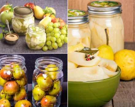 9 recettes faciles pour faire des poires marinées pour l'hiver