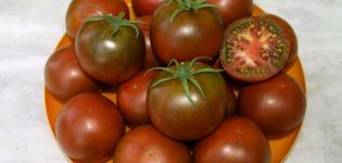 Caractéristiques et description de la variété de tomate chocolat, son rendement