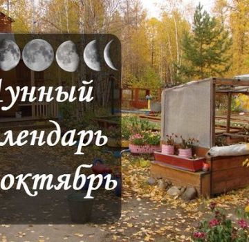 Lunar sowing calendar of the gardener and gardener, table of works for October 2020