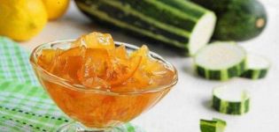 Top 3 recipes for zucchini jam with canned pineapples for the winter