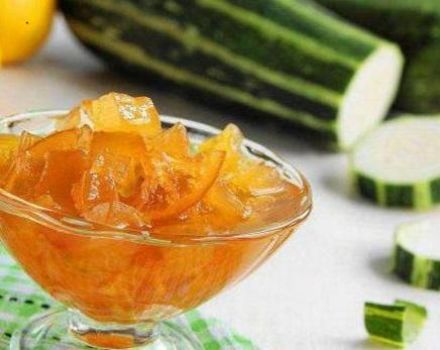 Top 3 recipes for zucchini jam with canned pineapple for the winter