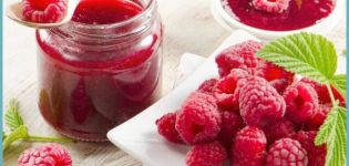 5 deliciosas recetas para hacer mermelada de frutos rojos congelada para el invierno