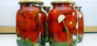 17 meilleures recettes pour faire des tomates marinées pour l'hiver