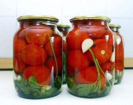 17 best recipes for making pickled tomatoes for the winter