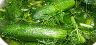 Instant recipes for lightly salted crispy cucumbers in a hot and cold saucepan with garlic and spices