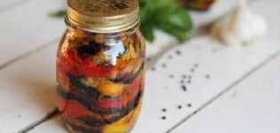 5 best recipes for royally eggplant appetizers for the winter