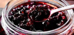 6 recipes for step-by-step preparation of irgi jam for the winter