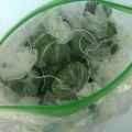 Rules for preparing arugula for the winter at home and tips for storing greens in the freezer and refrigerator