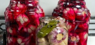 Recipe for pickling garlic with beets for the winter