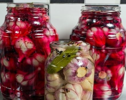 Recipe for pickling garlic with beets for the winter