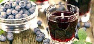 5 recettes de vin de myrtille maison faciles