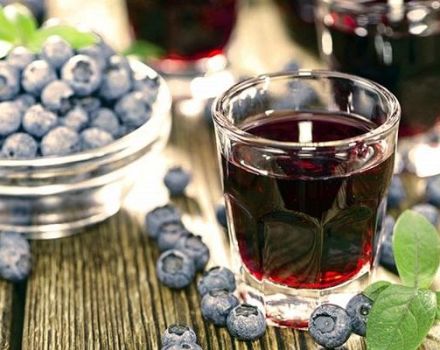 5 recettes simples pour faire du vin de myrtille à la maison