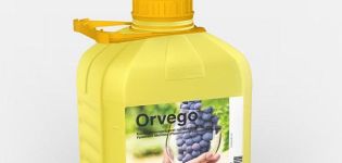 Instructions for the use of fungicide Orvego, description of the product and analogues