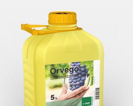 Instructions pour l'utilisation du fongicide Orvego, description du produit et analogues