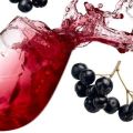 TOP 20 des recettes pour préparer des blancs d'aronia pour l'hiver