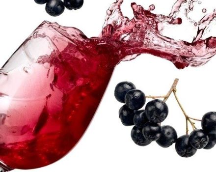 TOP 20 des recettes pour préparer des blancs d'aronia pour l'hiver