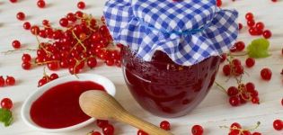 3 recipes for pitted red currant jelly for the winter