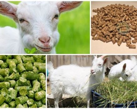 Composition of mixed feed for goats and rules of cooking with your own hands, storage