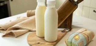 The benefits of kefir from goat milk and a recipe for cooking at home