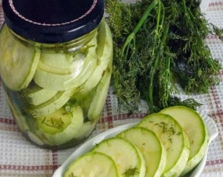 TOP 13 resipi untuk membuat acar muda zucchini untuk musim sejuk